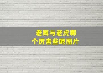 老鹰与老虎哪个厉害些呢图片