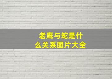 老鹰与蛇是什么关系图片大全