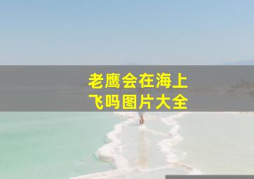 老鹰会在海上飞吗图片大全