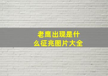 老鹰出现是什么征兆图片大全