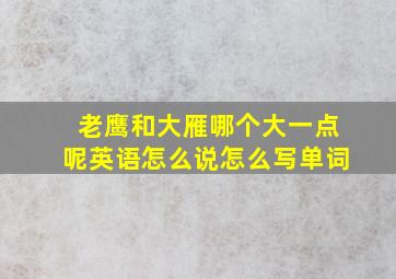 老鹰和大雁哪个大一点呢英语怎么说怎么写单词