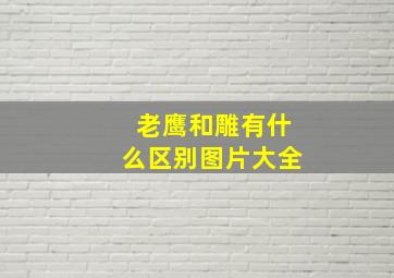 老鹰和雕有什么区别图片大全