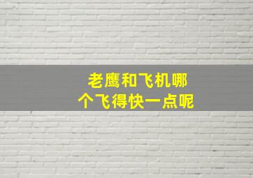 老鹰和飞机哪个飞得快一点呢