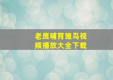 老鹰哺育雏鸟视频播放大全下载