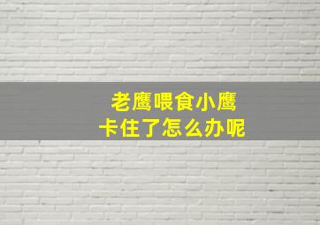 老鹰喂食小鹰卡住了怎么办呢