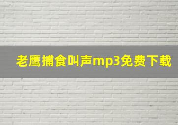 老鹰捕食叫声mp3免费下载