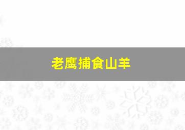 老鹰捕食山羊