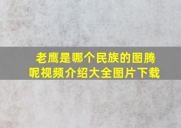 老鹰是哪个民族的图腾呢视频介绍大全图片下载