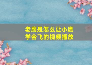 老鹰是怎么让小鹰学会飞的视频播放