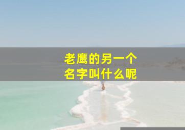 老鹰的另一个名字叫什么呢