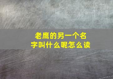 老鹰的另一个名字叫什么呢怎么读