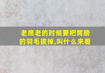 老鹰老的时候要把臂膀的羽毛拔掉,叫什么来着