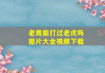 老鹰能打过老虎吗图片大全视频下载