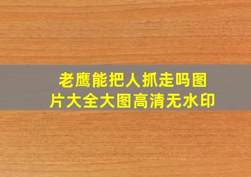 老鹰能把人抓走吗图片大全大图高清无水印