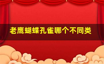 老鹰蝴蝶孔雀哪个不同类