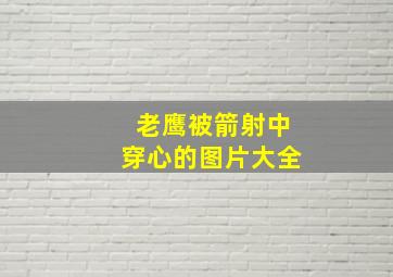 老鹰被箭射中穿心的图片大全