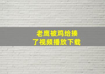 老鹰被鸡给揍了视频播放下载