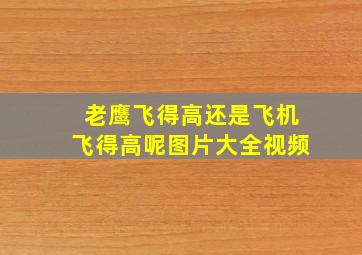 老鹰飞得高还是飞机飞得高呢图片大全视频