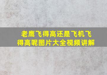 老鹰飞得高还是飞机飞得高呢图片大全视频讲解