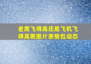 老鹰飞得高还是飞机飞得高呢图片表情包动态