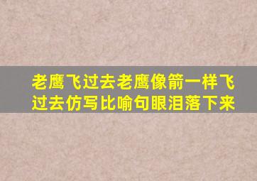 老鹰飞过去老鹰像箭一样飞过去仿写比喻句眼泪落下来