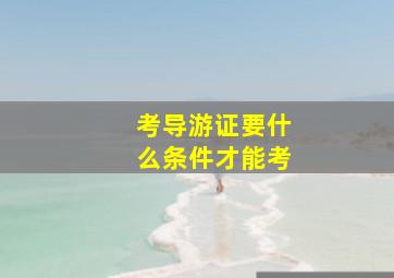 考导游证要什么条件才能考