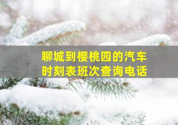 聊城到樱桃园的汽车时刻表班次查询电话