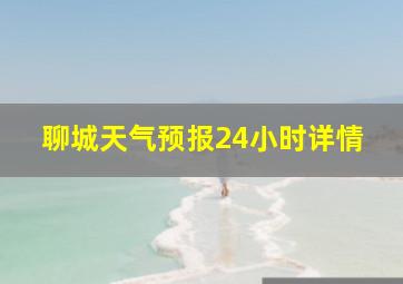 聊城天气预报24小时详情