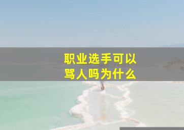 职业选手可以骂人吗为什么