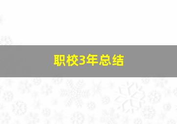 职校3年总结