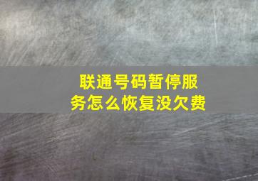 联通号码暂停服务怎么恢复没欠费