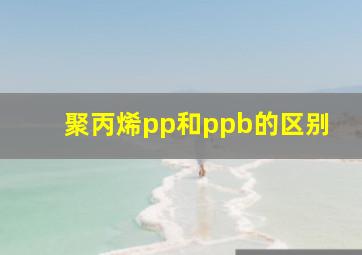 聚丙烯pp和ppb的区别