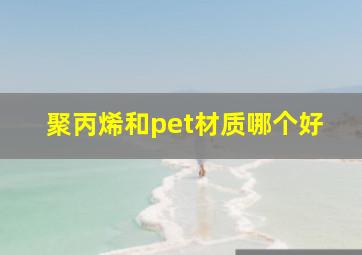 聚丙烯和pet材质哪个好