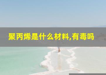 聚丙烯是什么材料,有毒吗