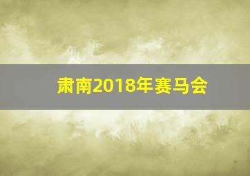 肃南2018年赛马会