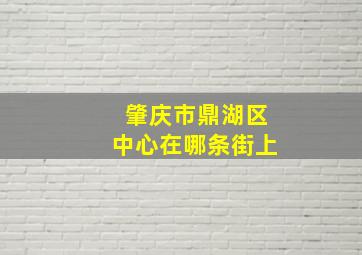 肇庆市鼎湖区中心在哪条街上