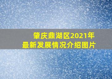 肇庆鼎湖区2021年最新发展情况介绍图片