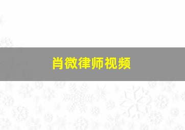 肖微律师视频