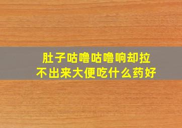 肚子咕噜咕噜响却拉不出来大便吃什么药好