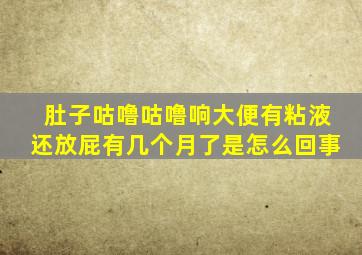 肚子咕噜咕噜响大便有粘液还放屁有几个月了是怎么回事