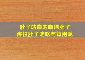 肚子咕噜咕噜响肚子疼拉肚子吃啥药管用呢