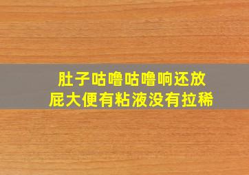 肚子咕噜咕噜响还放屁大便有粘液没有拉稀