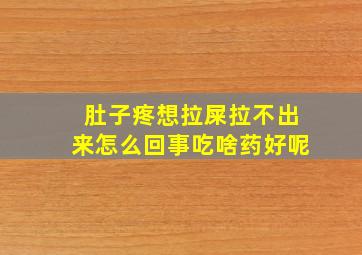 肚子疼想拉屎拉不出来怎么回事吃啥药好呢