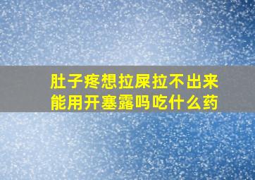 肚子疼想拉屎拉不出来能用开塞露吗吃什么药