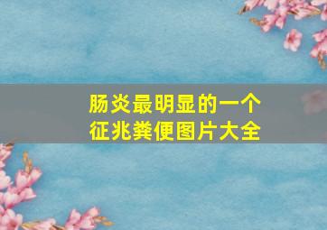 肠炎最明显的一个征兆粪便图片大全