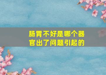 肠胃不好是哪个器官出了问题引起的