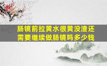 肠镜前拉黄水很黄没渣还需要继续做肠镜吗多少钱