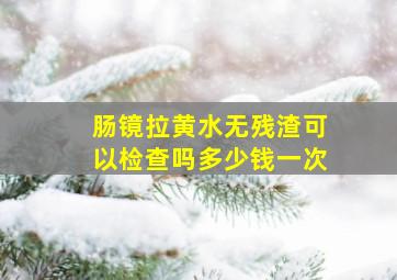 肠镜拉黄水无残渣可以检查吗多少钱一次