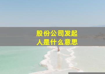 股份公司发起人是什么意思