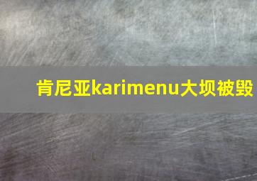 肯尼亚karimenu大坝被毁